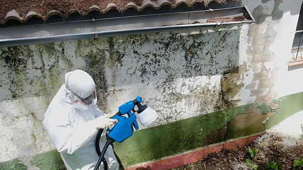 Top rated local Mold Remediation specialists in Micro, NC